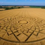 Che cosa sono Crop Circles