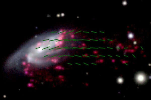 JO206 la galassia medusa