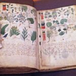 Misterioso manoscritto Voynich