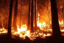 Incendi Siberia disastro ambientale