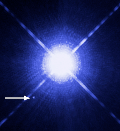 Stella Sirio la stella più luminosa