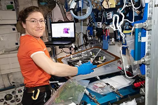Christina Koch: Nuovo record in vista per le donne dello spazio