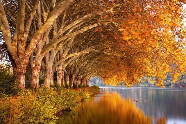 Equinozio d'autunno la notte dura tanto quanto il dì
